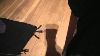 peaceful shadow while 4 yr old rants