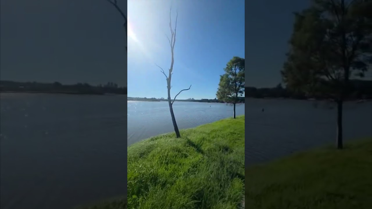 YouTube Short thumbnail