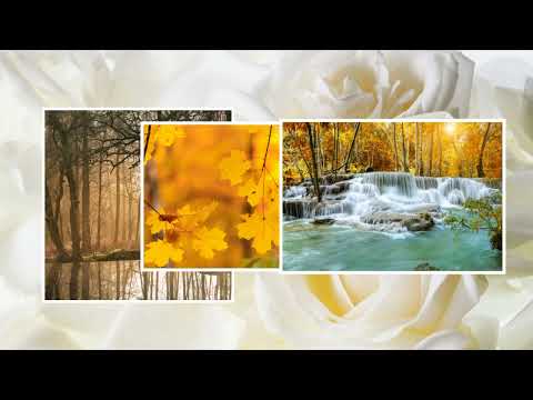 Làm sao ta vui Sheet - Thanh Hà