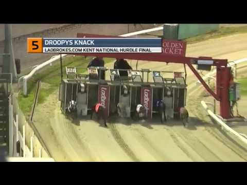 2019 LADBROKES KENT NATIONAL HURDLE - T5 DROOPYS KNACK