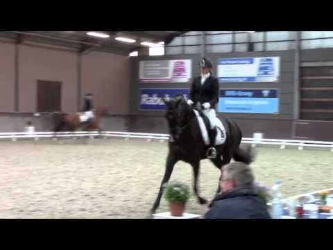 Young Dressage Talent 2013 - Fuzette v. Zhivago
