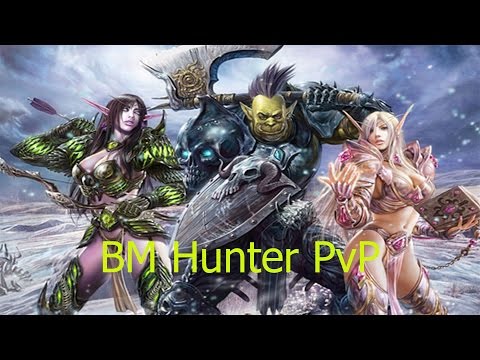 5.4.8 BM Hunter PvP - Southshore VS Tauren Mill - Hype City - Patch 5.4
