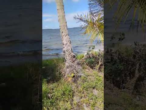 Área 3 (Parte1) - Baía de Camamu, Bahia, Brasil