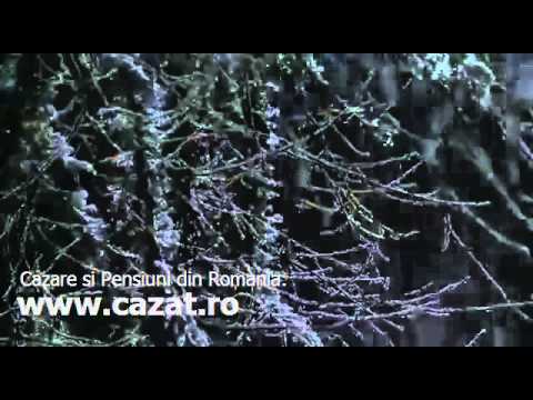 Cazare Balnaca Grosi, Bihor - Cazat.ro