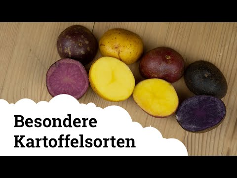 , title : 'Kartoffel | 5 besondere Sorten, die ihr vielleicht noch nicht kennt 😃🥔'