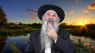 N°343 Yitro | La sagesse de Ytro