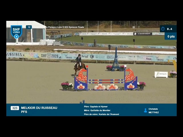 Ruin Franse rijpony PFS Te leen 2022 Vos ,  OPPLALA ST HYMER