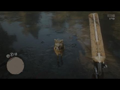 Red Dead Redemption 2_ Toughest Fox i've seen