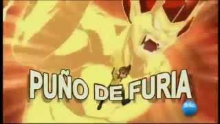 Puño de furia