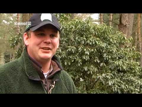 Kanal 21 FHM Hingeschaut! - Hinter den Kulissen von Bielefeld Teil 2