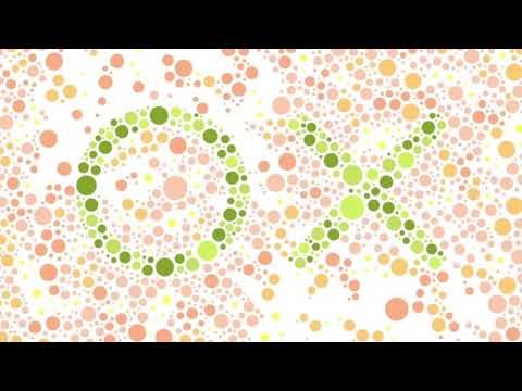 Fat Sushi - Back Flash - KATER224