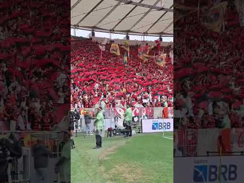 "Torcida Flamengo vs Palmeiras" Barra: Nação 12 &bull; Club: Flamengo