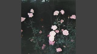 calrissian cosmos