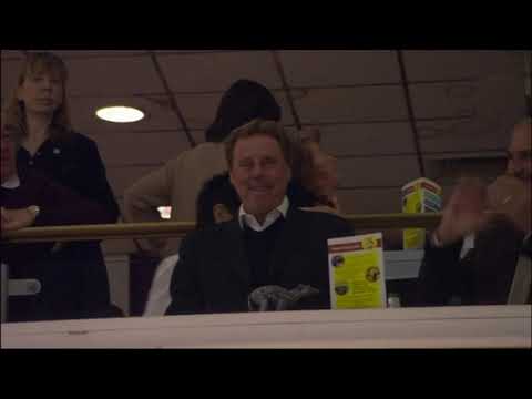 HARRY REDKNAPP ON HIS DOGS