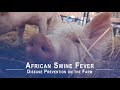 Disease Prevention on the Farm: African Swine Fever
