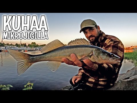 KUHAA MIKROJIGILLÄ - KALASSA KESKELLÄ KAUPUNKIA - ORKA MIKROJIGIT