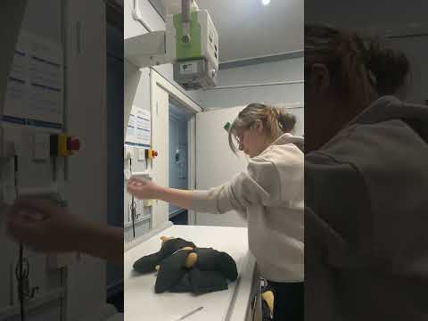 Vetskill OSCE Radiography Practice VSDI05 Radius and Ulna Radiograph