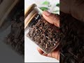 Grow REAL THICK BUSHY Hair With This Do Not Wash This Out Hairgrowth Hairthinning Baldinghair
