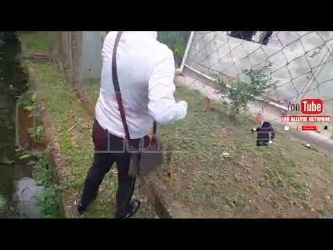 Where and how the four  bandits met their fatal end after the deadly heist outside Pennywise Plaza.