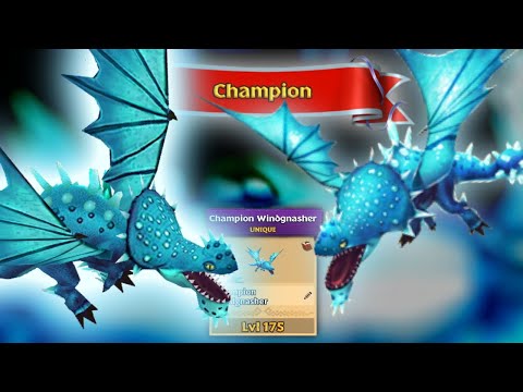 Champion Windgnasher - Unique Arena Brawler Dragon Max Level 175 | Dragons: Rise of Berk