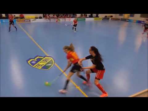 ATSM FBC Loisto- Koovee maalikooste 03.01.18 Sport Garden, Turku