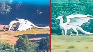 REAL Dragons Caught On Camera That Were Never Meant To Be Seen