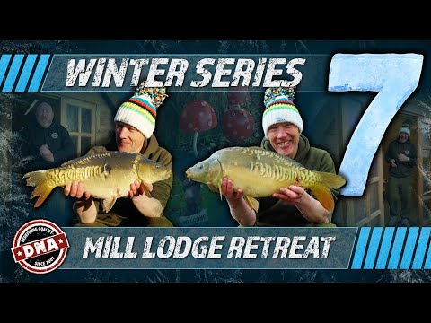 WINTER SERIES 7 – MILL LODGE RETREAT | DNA BAITS | CARP FISHING