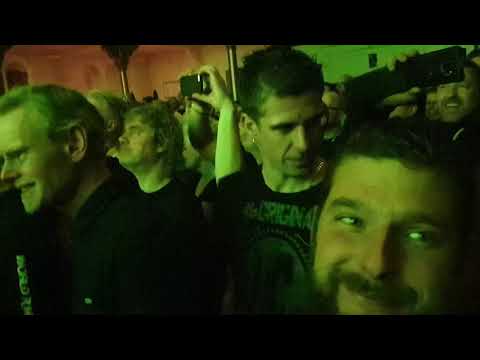 The Shavers Halvarine live in Paradiso 2019