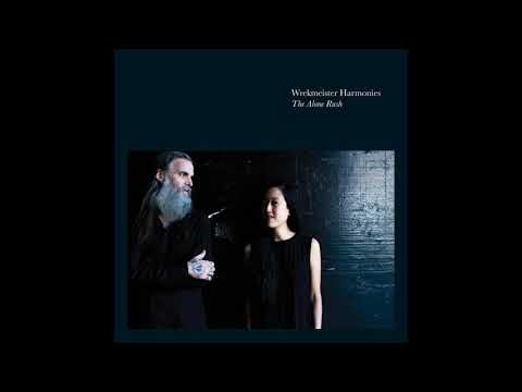 Wrekmeister Harmonies - Descent Into Blindness