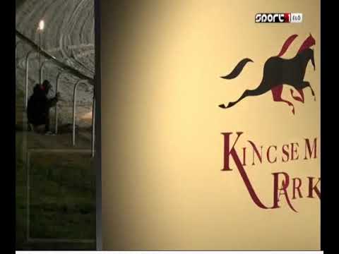 Jaytee Milan @Kincsem Park  31/12/2018