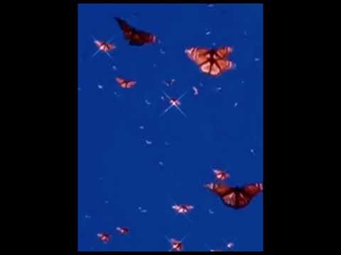 Beyazz feat. lilbubblegum - GIMME HEAD WHEN I'M SAD﹝slowed + reverb﹞