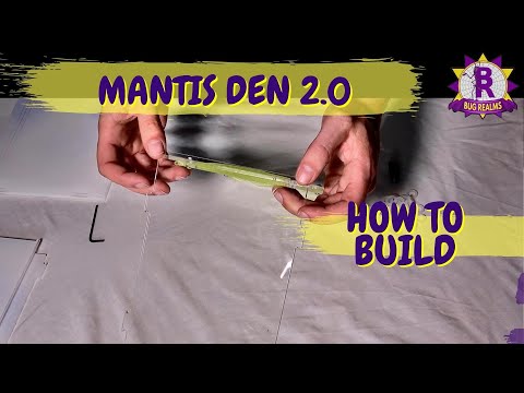 Mantis Den Enclosure 2.0 Build
