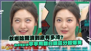 [問卦]  過年帶aespa寧寧回老家 家裡長輩開心嗎