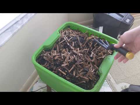 Hot Frog Living Composter Day 74 - Possible Last Feeding of Tier 1? - Vermicomposting
