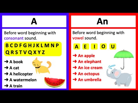 A vs AN 🤔| What's the difference? | Learn with examples
