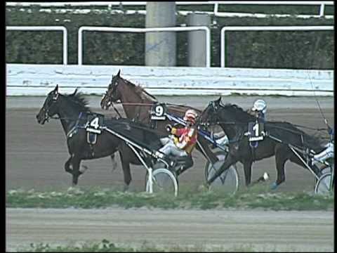 Trotto 26/02/2016 - 3° corsa