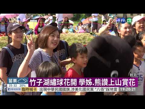 竹子湖繡球花開 學姊.熊讚上山賞花