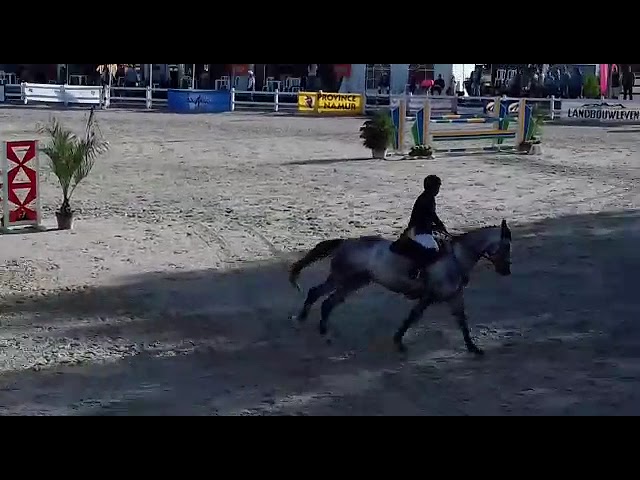 Nyssa van 't Lohof 5YO BK Gesves