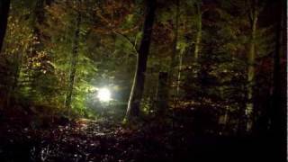 Nobody Beats The Drum - Poisson Ver video