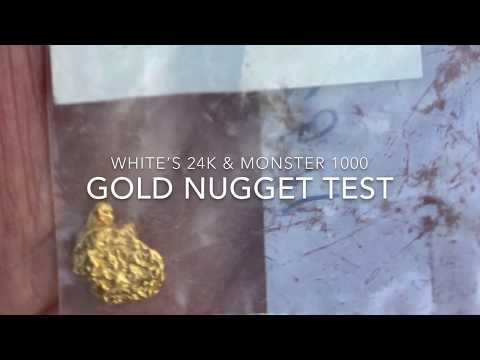 White's Goldmaster 24K VS Minelab Monster 1000