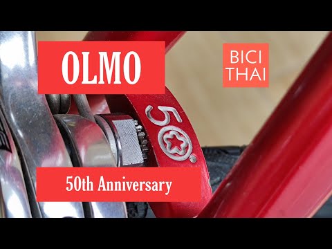 OLMO 50th anniversary (1939-1989) bronze badge no.c0329 #BiciThai