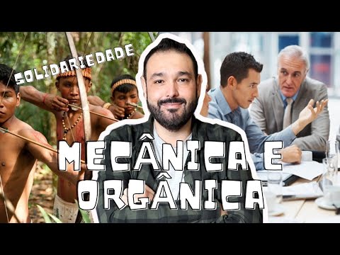Solidariedade Mecânica e Solidariedade Orgânica
