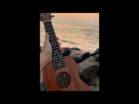 [FREE] Acoustic Ukulele Type Beat | "Fading Us" dominic fike type beat