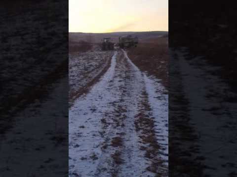 Fermierii din Alamor