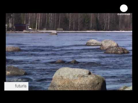Vom Tier zum Menschen - versteckte Krankheiten