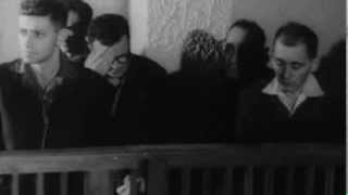 Sasha - Charging The Rhino