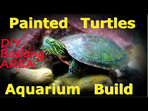Painted Turtle Aquarium Build | DIY Basking Area | Build Series Ep. 8