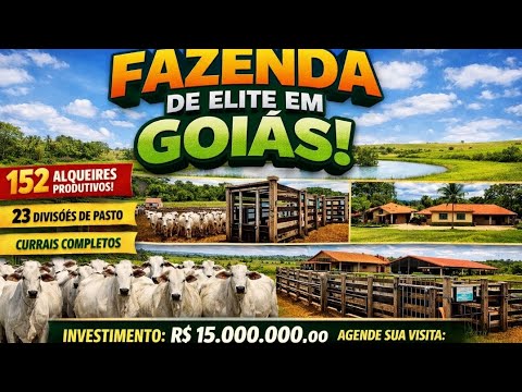 Fazenda à Venda em Crixás - GO | 152 Alqueires Prontos para Pecuária de Elite