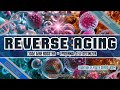 [REVERSE AGING] ★CISD2 Gene (NAF-1) Enhancer and Booster + Epidermal Cell Optimizer★