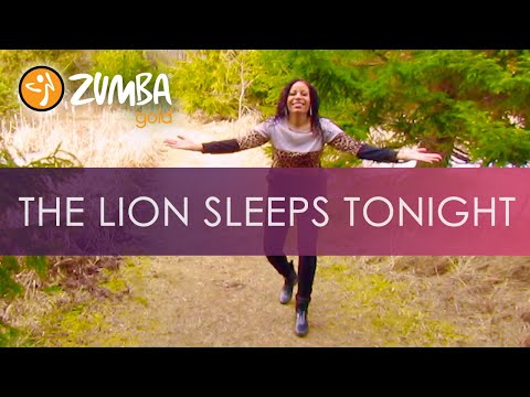 THE LION SLEEPS TONIGHT | Zumba | Gentle Zumba Gold | Senior Dance Fitness | 432Hz | We Keep Moving